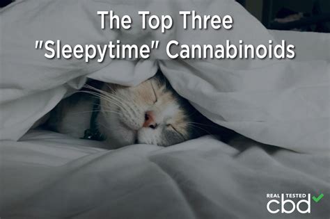 The Top Three “Sleepytime” Cannabinoids
